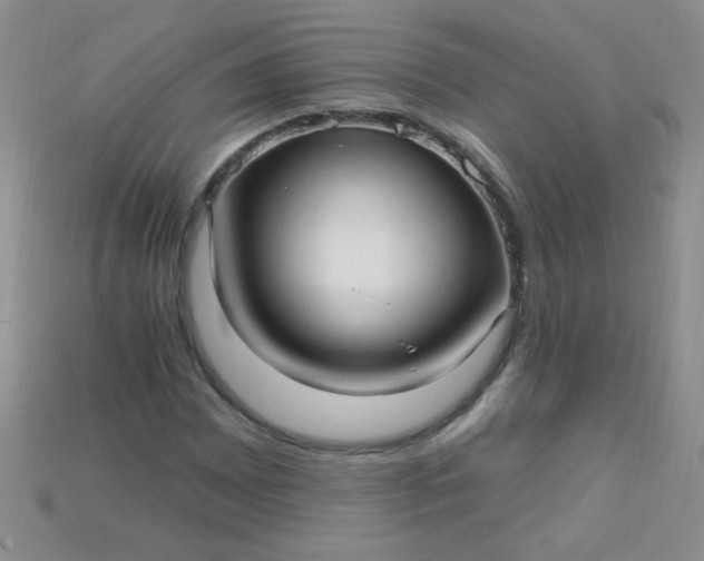 X0000115221065200911121920