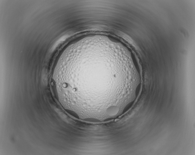 X0000115221067200911121920