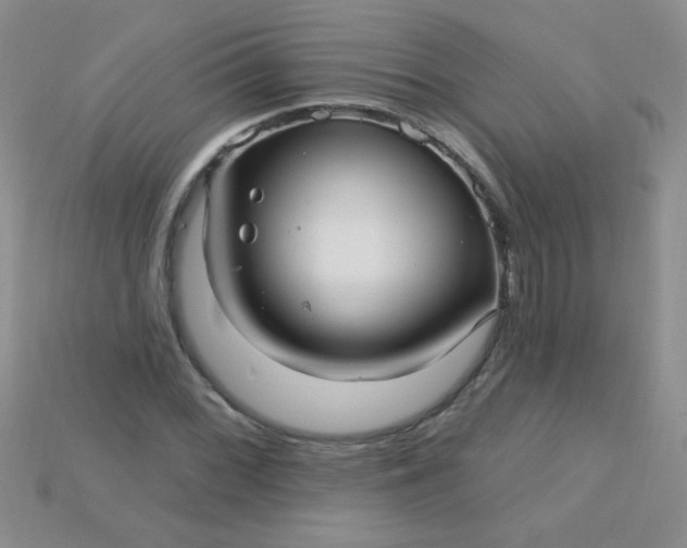 X0000115221068200911121920