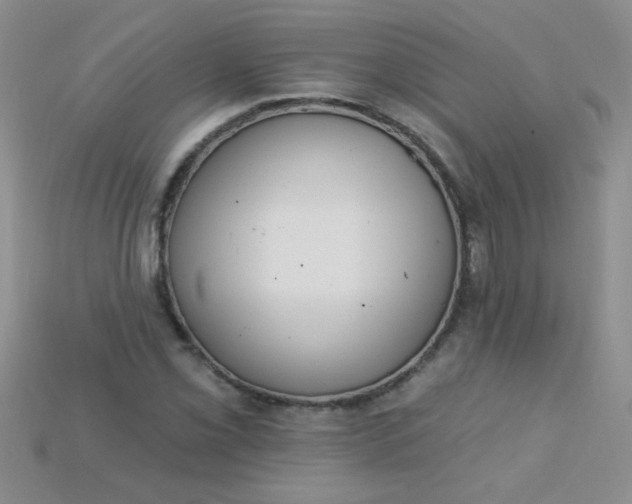 X0000115221069200911121920