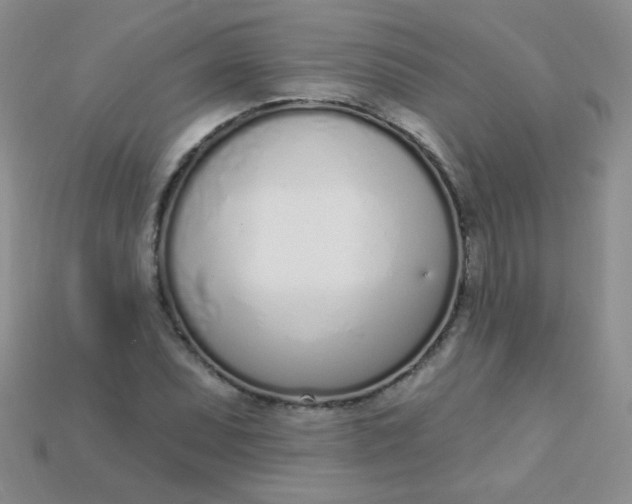 X0000115221071200911121920