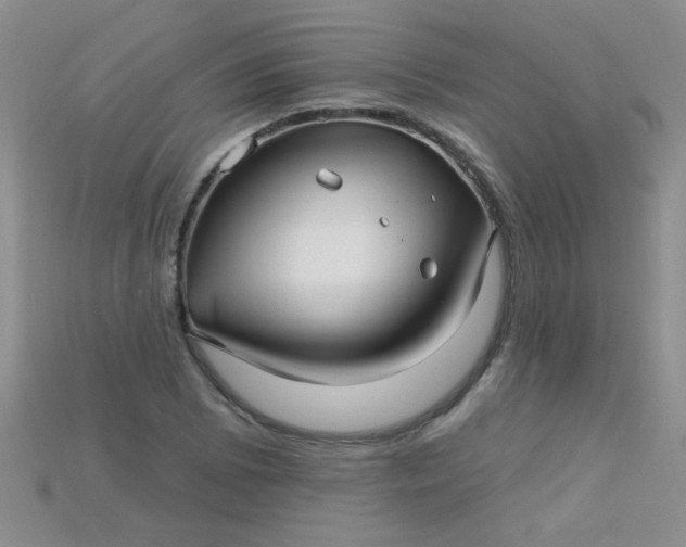 X0000115221073200911121920