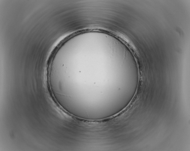 X0000115221076200911121920