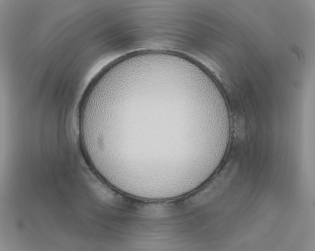 X0000115221078200911121920