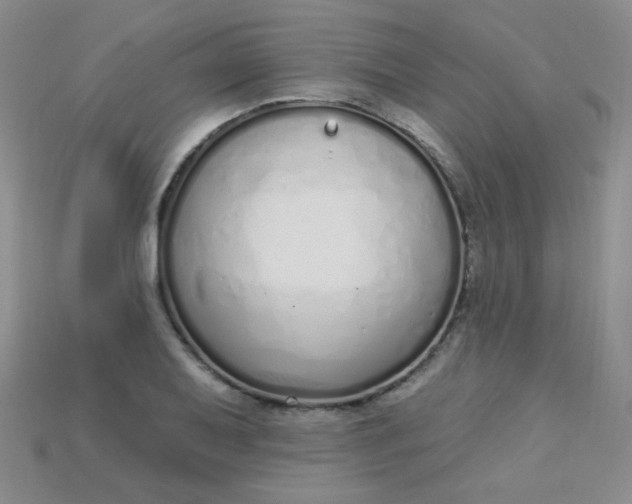 X0000115221079200911121920