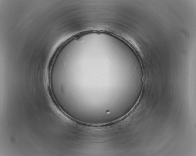 X0000115221080200911121920