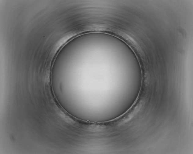 X0000115221081200911121920