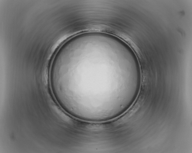 X0000115221083200911121920