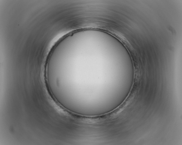 X0000115221086200911121920