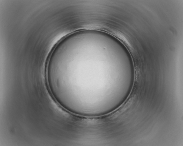 X0000115221087200911121920