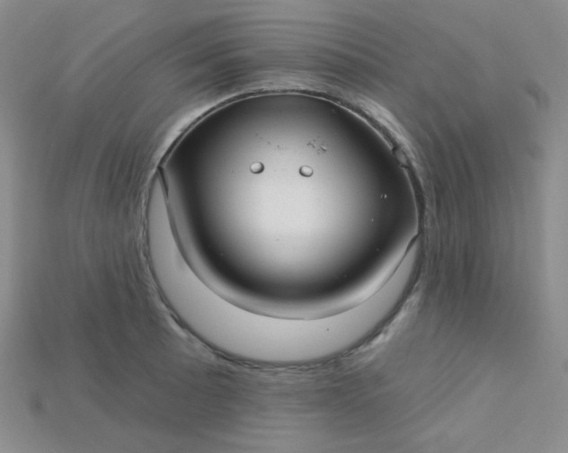 X0000115221089200911121920