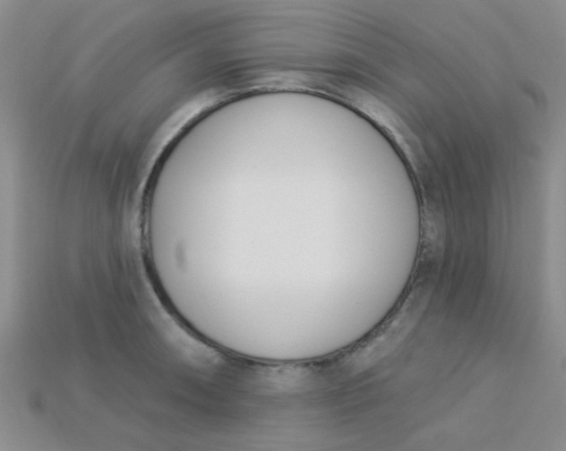 X0000115221090200911121920