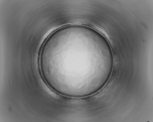 X0000115221091200911121920