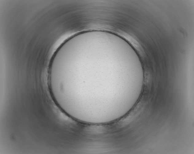 X0000115221094200911121920