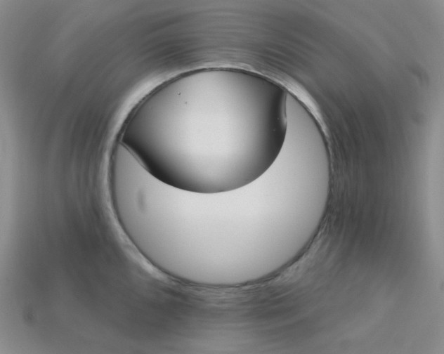 X0000115221096200911121920