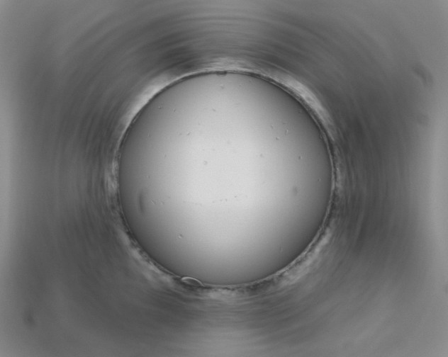 X0000115221097200911121920