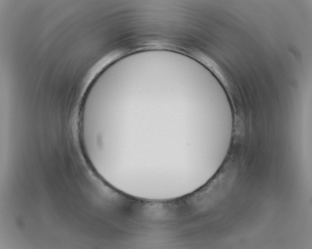 X0000115221098200911121920