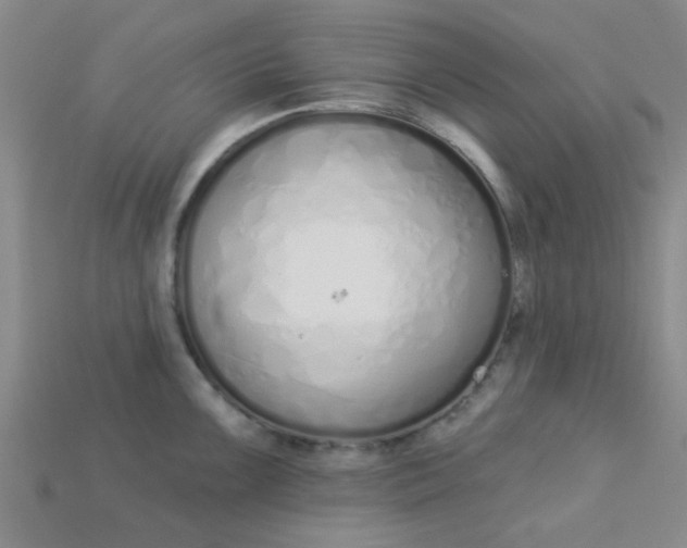 X0000115221099200911121920