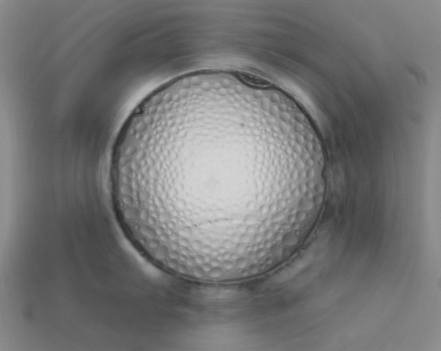 X0000115221103200911121919