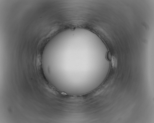 X0000115221107200911121919