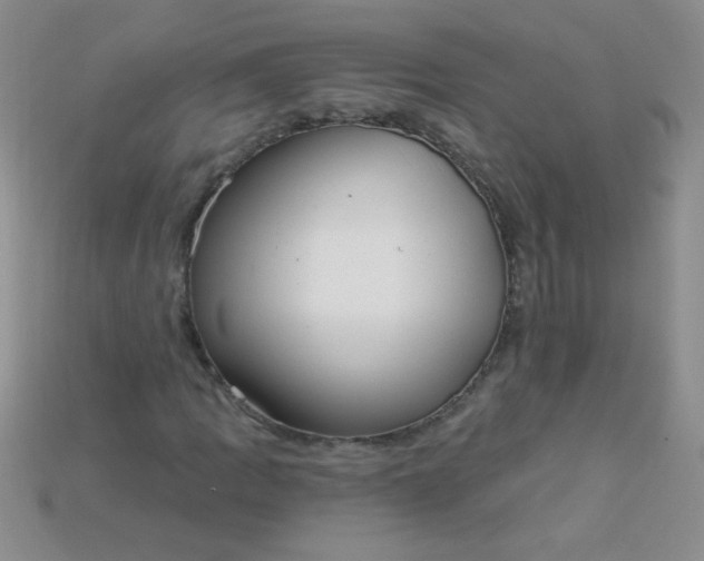 X0000115221109200911121919