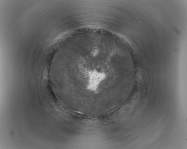 X0000115221110200911121919