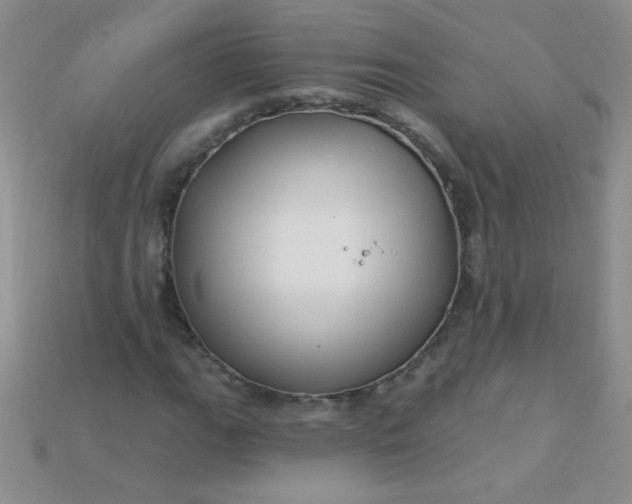 X0000115221111200911121919