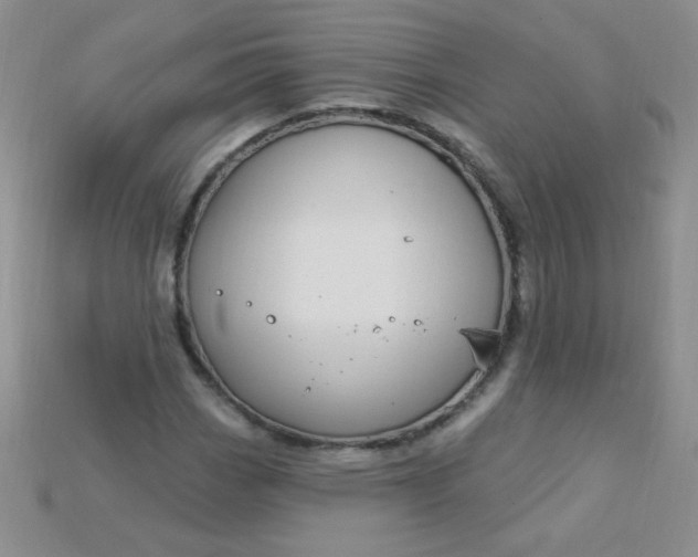 X0000115221113200911121919