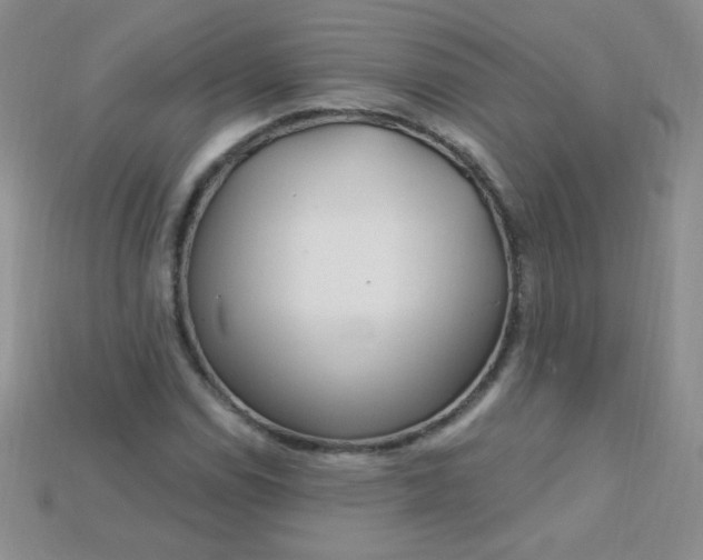 X0000115221114200911121919