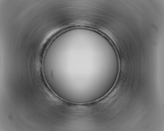 X0000115221115200911121919