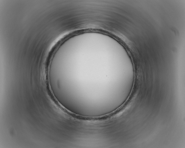 X0000115221118200911121919