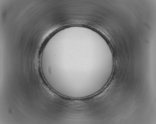 X0000115221119200911121919