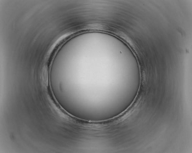 X0000115221123200911121919