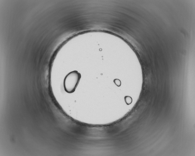 X0000115221126200911121919