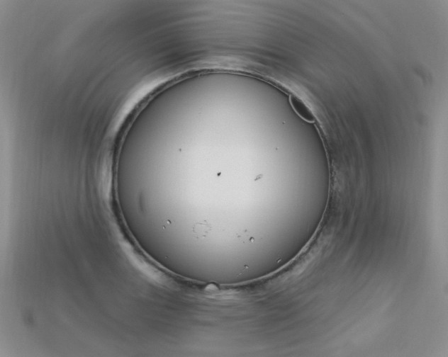 X0000115221131200911121919