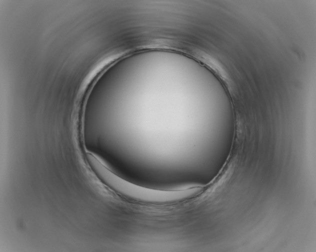 X0000115221138200911121919
