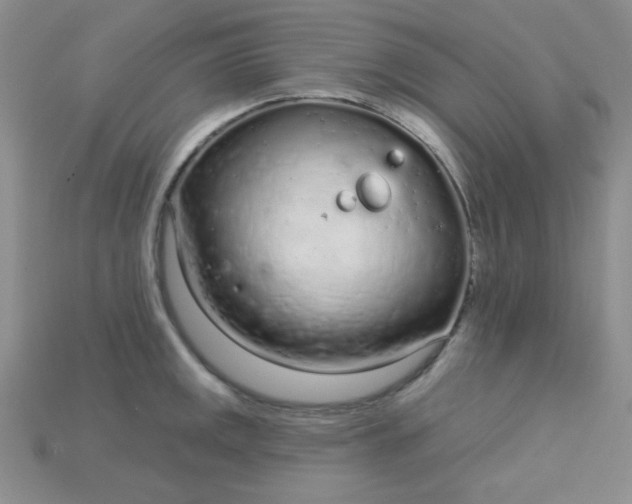 X0000115221141200911121919