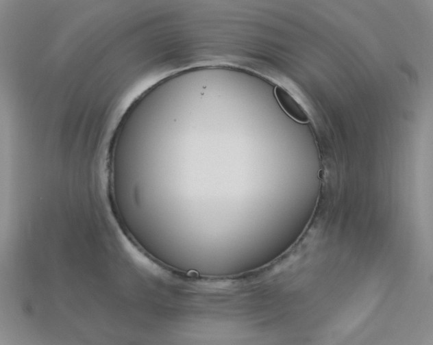 X0000115221143200911121919