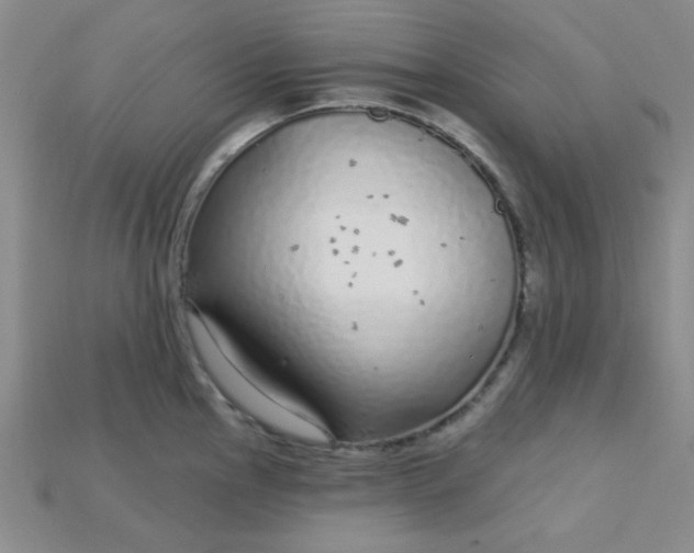X0000115221145200911121919