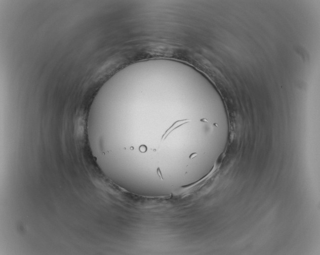 X0000115221154200911121919