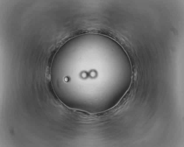 X0000115221156200911121919