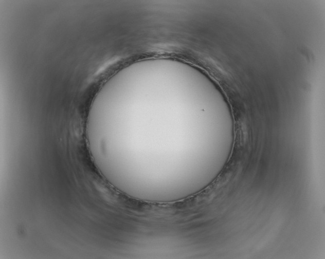 X0000115221158200911121919