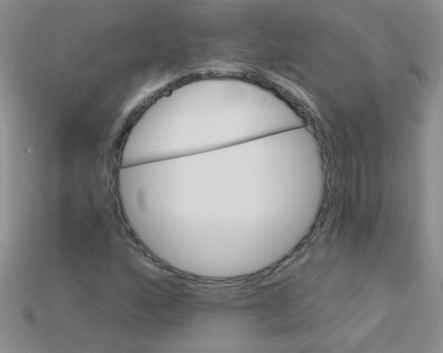 X0000115221160200911121919