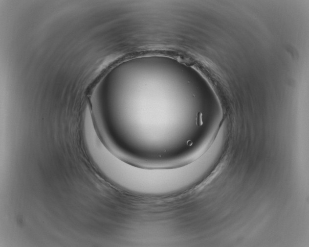 X0000115221161200911121919