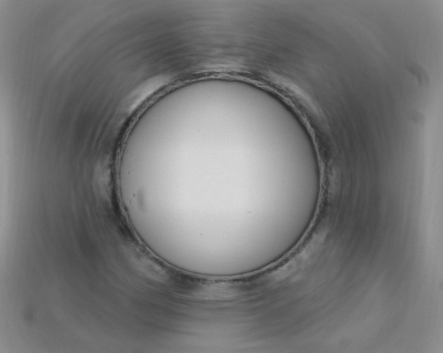 X0000115221162200911121919