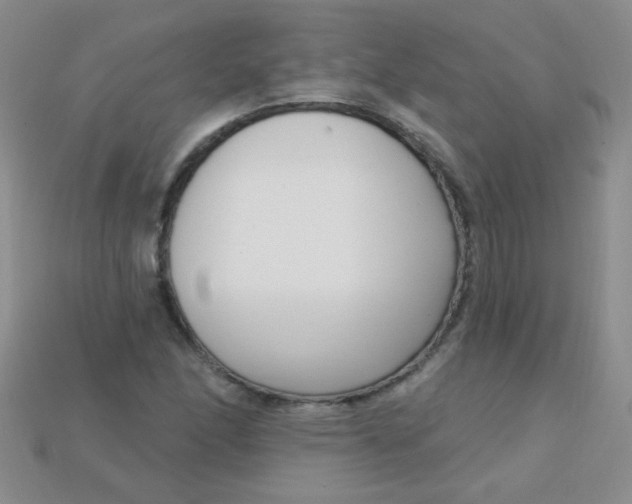 X0000115221166200911121918