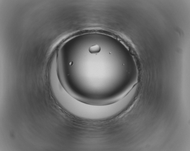 X0000115221167200911121918