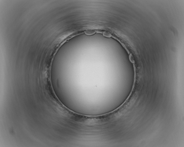 X0000115221169200911121918