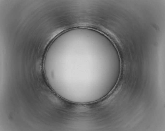 X0000115221170200911121918