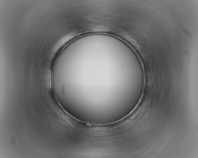 X0000115221171200911121918